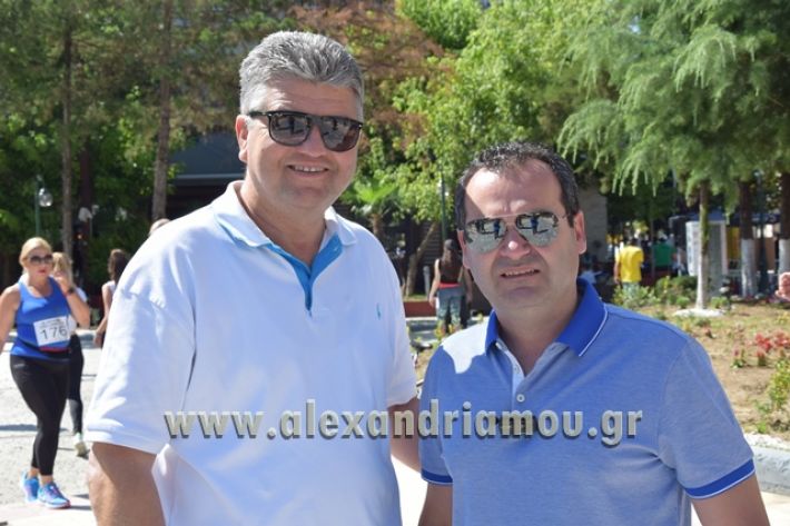 alexandriamou_1_alexandrinos_dromos037